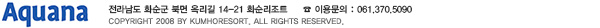 copyright