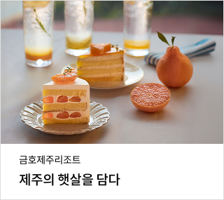 ī�� ��� 2�� �ñ״�ó