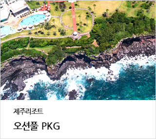 Ǯ PKG