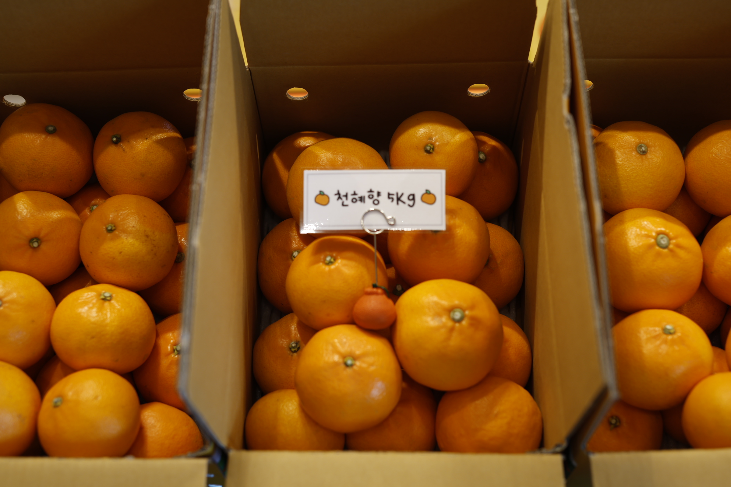 ���� ��ǰ�� Sorang(�Ҷ�)